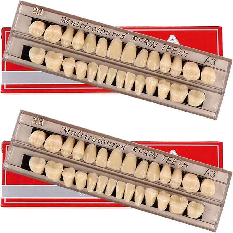 Ceonam 56Pcs False Teeth Dental Denture Set A3 Upper Lower Resin Teeth 23 Shade
