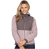 the north face denali 2 hoodie women's