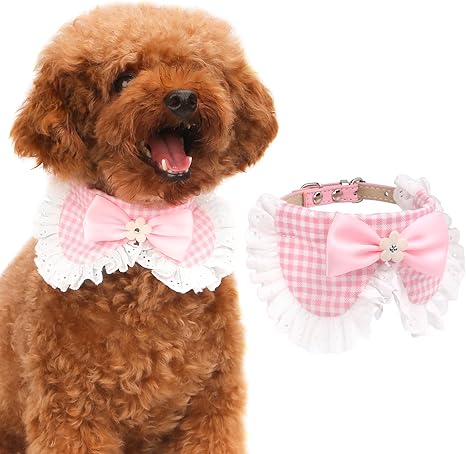 Pawaboo Collier Pour Chien Et Chatmignon Ajustable En Cuir