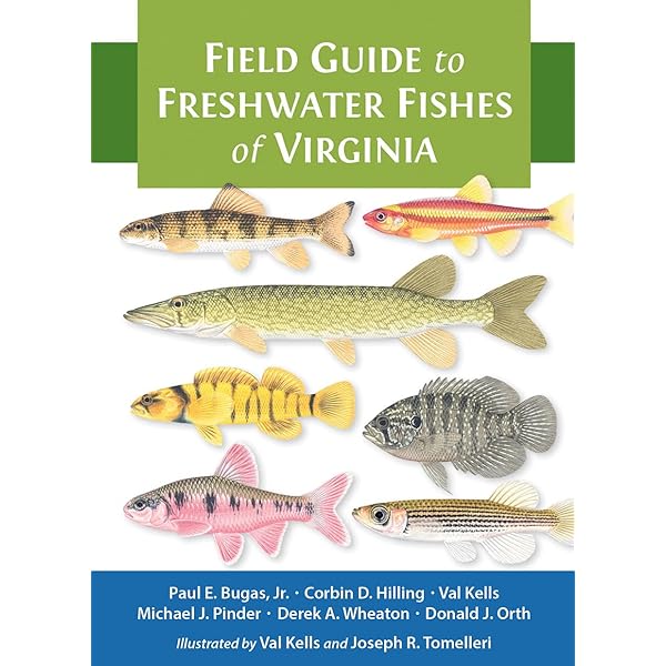 洋書 Larval Fish Nutrition G.Joan Holt Larval Fish Nutrition: Holt, G. Joan: 9780813817927: Amazon