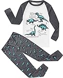 Dolphin&Fish Boys Pajamas Dinosaur Kids Pjs Sets