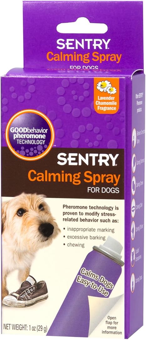 shed no more for dogs