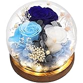 Eyesofspring Preserved Flowers,Rose in Glass Dome with LED Light, Gifts for Her, Women, Mom,Grandma,Girlfriend, Wife - Style5
