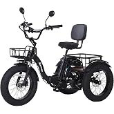 NARRAK Electric Tricycle for Adults, 750W(Peak 1350W), 48V13Ah Ebike, 20"x4.0" Aluminum Folding Fat Tire 3 Wheel Electric Trike, Max 20MPH Hydraulic Brake, Rear Motor Differential