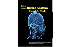 Colour Atlas of Human Anatomy - Head and Neck