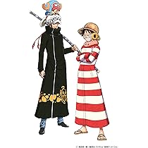 One Piece Eternal Log 