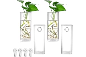 Fasmov 4 Pack Wall Hanging Glass Planters Plant Terrarium, Plants Holders Air Plants Succulents Planters Flowers Glass Wall V