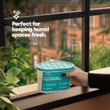 LIVIVO Disposable Dehumidifiers 500ml 10-Pack - Moisture Absorber Home view 8