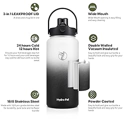 Insulated Water Bottle with 2-in-1 Lid