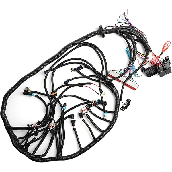 Amazon.com: Haiyazhma New Electronic Control Module Harness