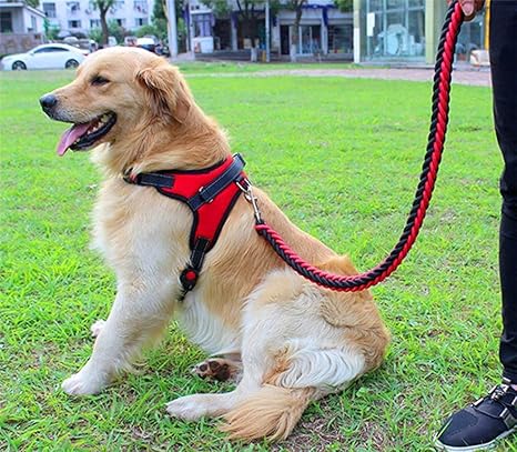 GOUSHENG collar Mascotas Perros 1 Juego Big Pet Dedicado ...