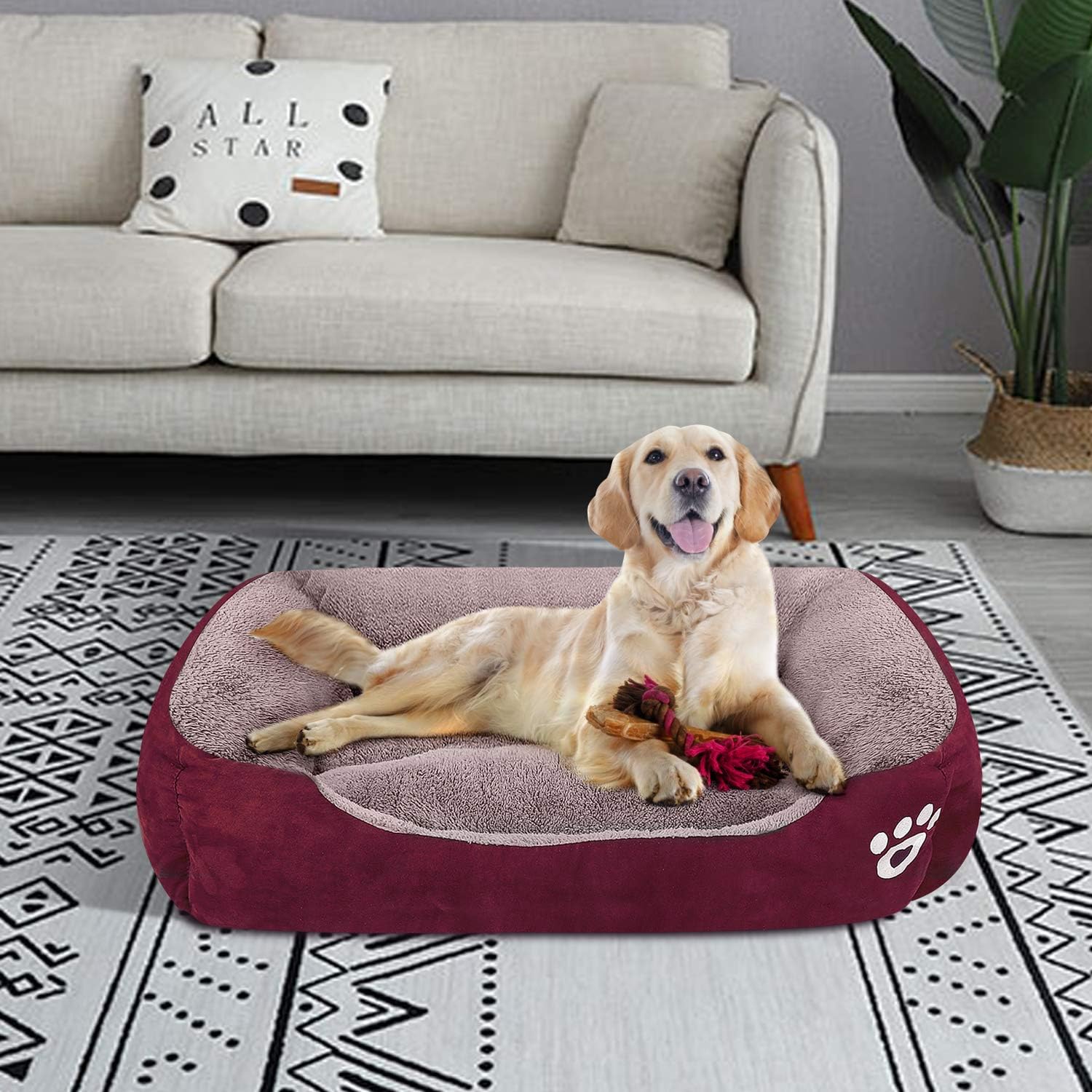 PUPPBUDD Dog Bed for Large Dogs Washable Comfortable Safety Pet Sofa Extra Firm Cotton Breathable for Medium and Small Dog Blue : Pet Supplies