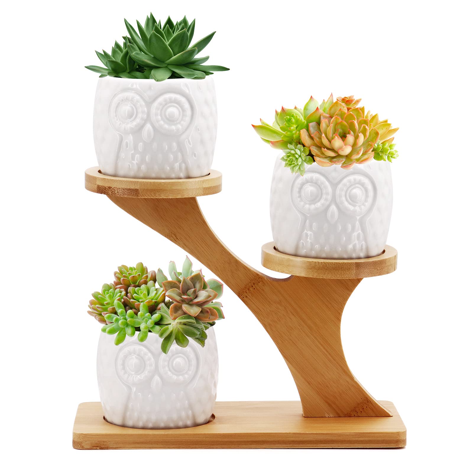 Gearific Succulent Pots, Ceramic Flower Pot with Bamboo Tray Holder, Small Cactus Planter Pots for Home Office Desktop Windowsill Décor (Owl)