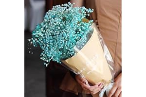 SONGJUM Dried Baby's Breath Flowers Bouquet 2000+ Natural Dried Flowers Baby's Breath Real Gypsophila Branches for Wedding Table Vase Party Garden DIY Wreath Floral Home Decor（Blue）