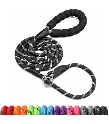 Amazon.com : No Pull-Anti Pull Premium Dog Leash so Anyone Can Safely  Prevent and Control Pulling Tugging Lunging and Jerking on Leash with This  Positive Training Lead for Med to Large Dogs