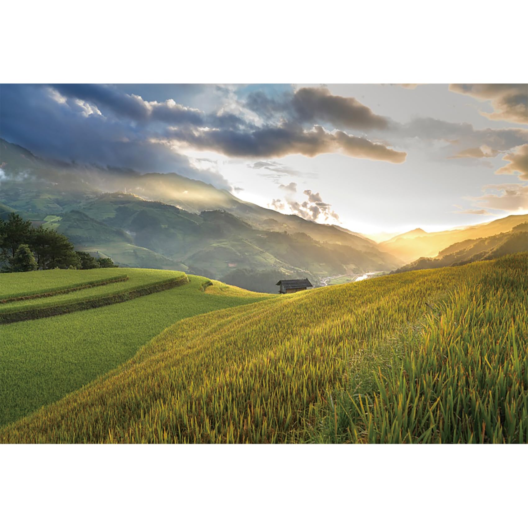 MIRRORANG 2,5x1,8m Natural Landscape Backdrop Forest Mountain View Meadow Countryside Photography Background Rural Life Vacation Tourism Photo Studio Props Wallpaper, Vinyl