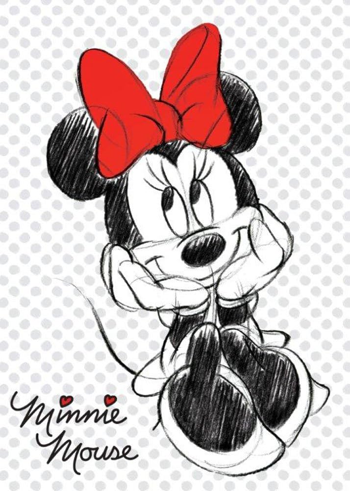 80 X 110 Cm En Blanc Couverture Pour Bebe Enfants Couverture Poussette Minnie Mouse Dans Un Coffret Cadeau Taille Couvertures Et Couvertures D Emmaillotage Couvertures Mkyra Org