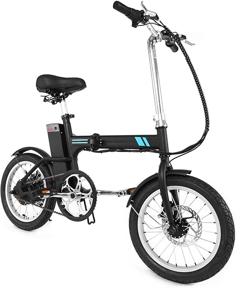 aceshin electric bike