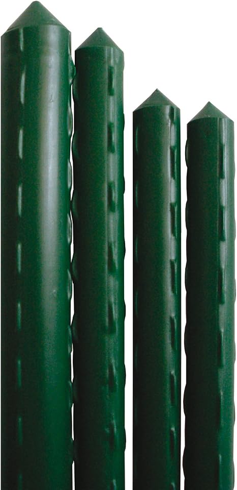 cannetta reggipiante mm.8 x cm.90H mondoverde: Amazon.es: Deportes ...