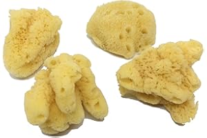 Awesome Aquatic 4-Pack of Hermit Crab Sea Sponges (Jumbo 4 pk)