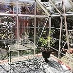 Review Image by The Saucers The Saucers