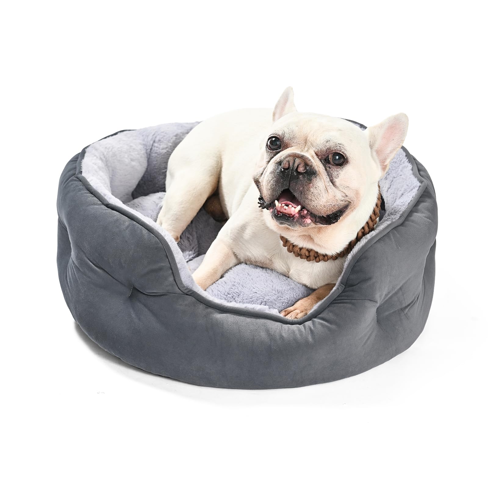 Amazon Basics Round Dog Bed for Medium Dogs, Cat Beds for Indoor Cats, Washable Pet Bed with Soft Plush Cushion, Anti-Slip Bottom, 25x21x8 Inches, Gray