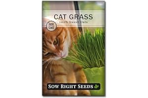Sow Right Seeds - Cat Grass Seeds for Planting - 100% Sweet Oats - Non-GMO Heirloom Healthy Greens for Cats and Dogs - Easy to Grow - Safe & Natural Indoor Use - Ideal for Pet Lovers