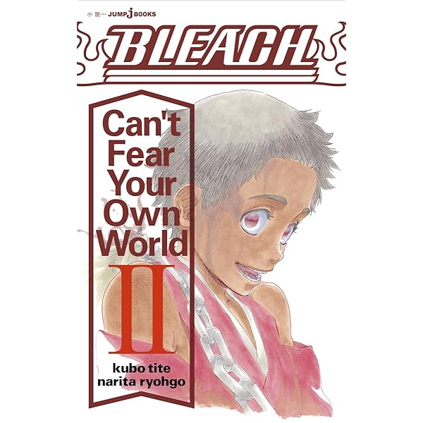 Amazon.com: BLEACH Can't Fear Your Own World 2 (JUMP j BOOKS