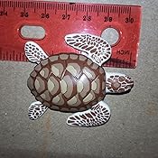 playmobil sea turtle with babies