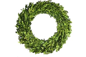 BOXWOOD WORLD Boxwood Wreath Large 16 inch Preserved Natural Boxwood Wreath Home Decor Stay Fresh for Years Wreath for Christmas Halloween and Thanksgiving Home Decor for Indoor Only