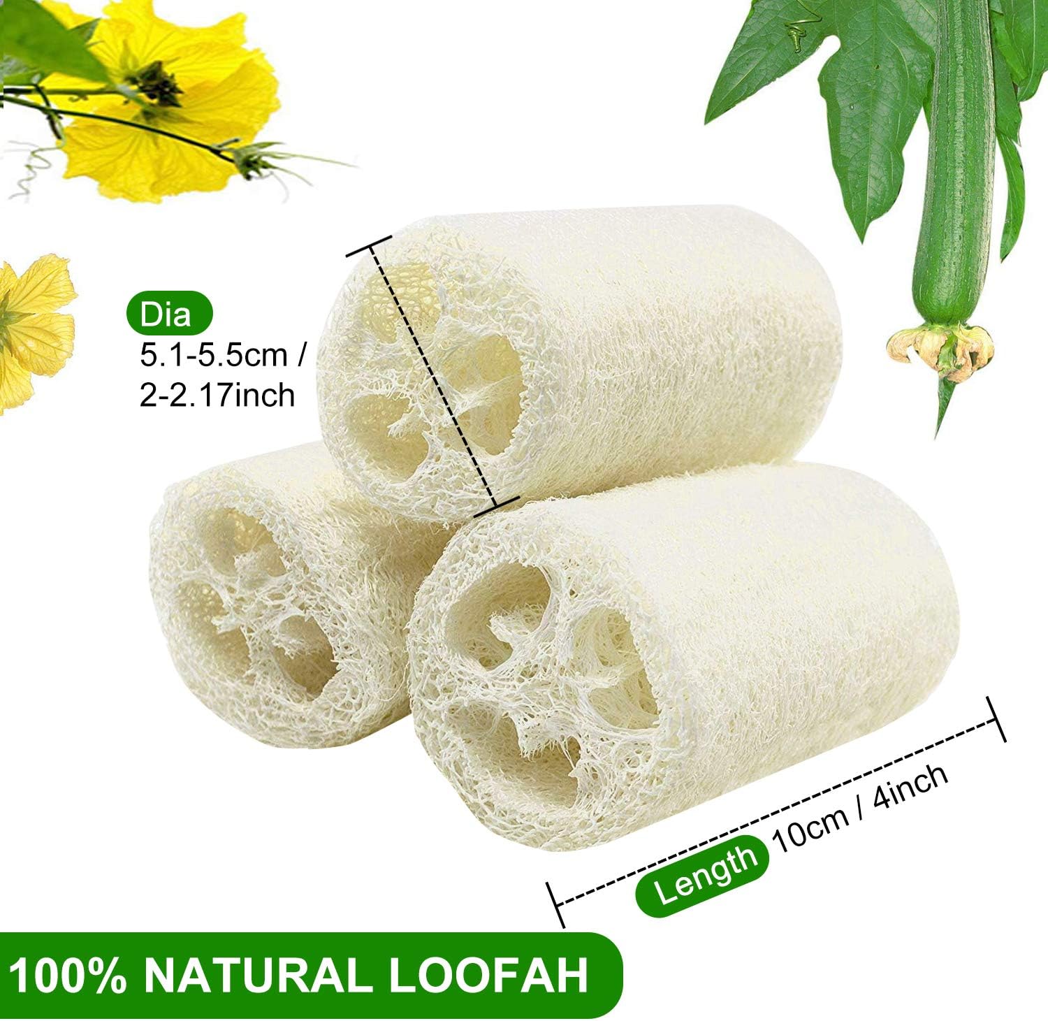 6 Pcs Natural Loofah - Image 3