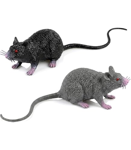 RATS Allegheny woodrat - Wikipedia