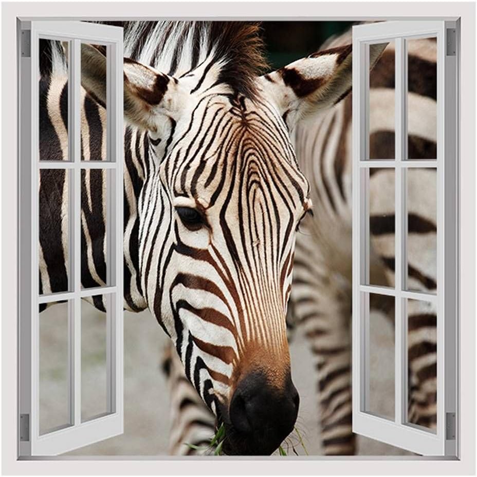 Alonline Art - African Zebra by Fake 3D Window | print on wall sticker vinyl decal (Rolled) | 16"x16" - 41x41cm | Wall art home decor for kitchen or for kitchen | picture HD wallpaper artwork