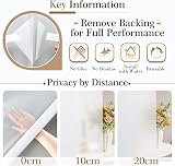 Lifetree Frosted Window Film Privacy 44.5×300 cm Non-Adhesive UV Blocker view 8
