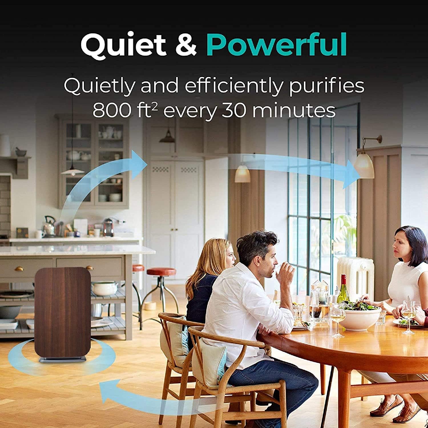 Alen BreatheSmart 45i Air Purifier with Smart Sensor for Large Rooms up to 800 Sqft, Removes Allergens, Pollen, Dust, Dander, while Eliminates Bacteria, Germs, Mold, Odors, in Espresso: Home & Kitchen