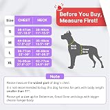 Belababy Dog Harness Front Clip No Pull Reflective Adjustable Purple S view 2