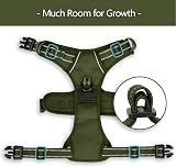 PoyPet No Pull Dog Harness Reflective Vest Army Green XS view 8