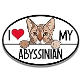 Magnet Me Up I Love My Abyssinian Cat Breed Car