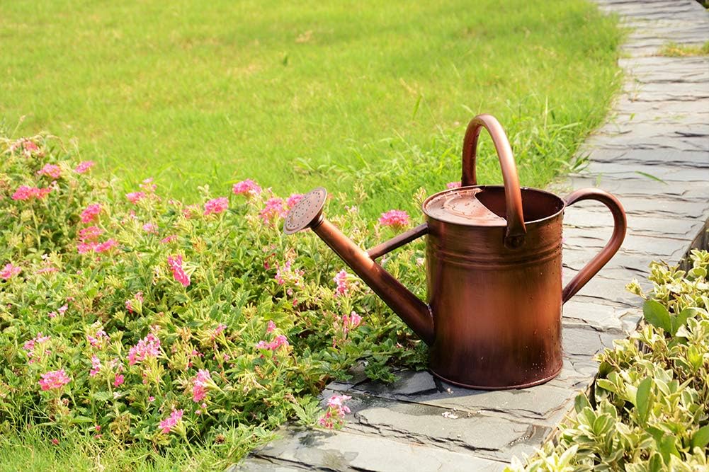 yourjoy Steel Watering Can Sliver Galvanized Steel Watering Can with Copper Accents, Removable Rosette-Diffuser, One-Gallon : Garden & Outdoor