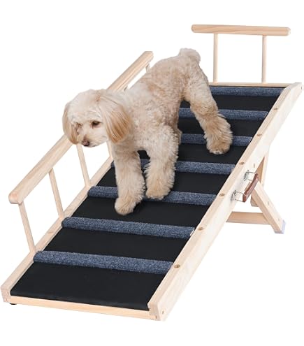 Escalier 4 Marches Pour Chat Et Petit Chien - Antidérapant, En Polypropylène, 42x32x32 Cm - Accès Au Canapé, Lit Haut Et Aire De Jeu