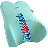 Skechers Air-Cooled & Memory Foam Lumbar Pillow,Lumbar Support Pillow for Office,Chair Lower Back Pain Relief Lumbar Pillow,Ergonomic Design Back Support Pillow for Office Chair,Car,Home,Travel,Green