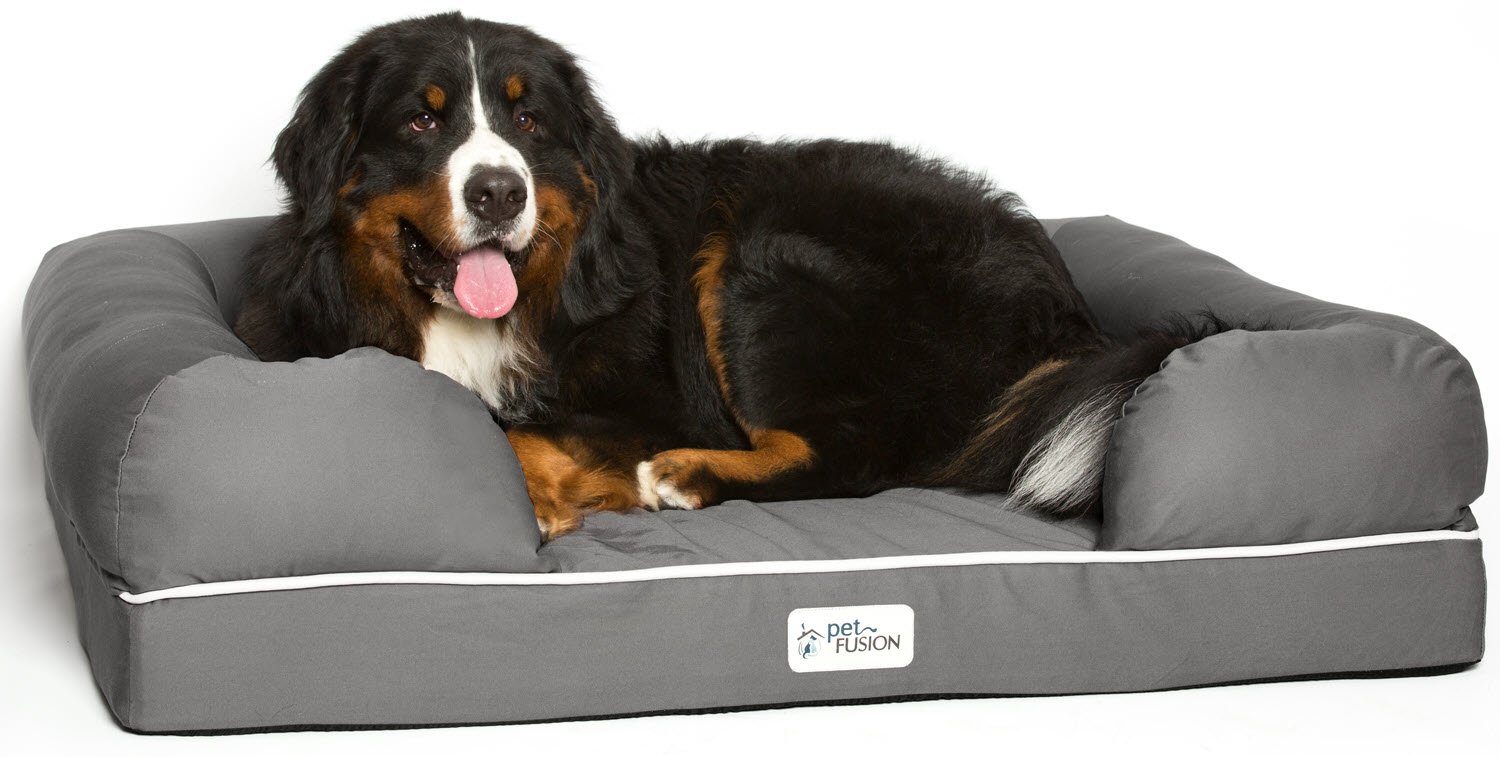 PetFusion Ultimate Solid 10cm WATERPROOF Memory Foam Dog Bed for X