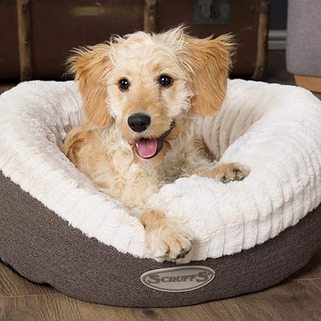scruffs pet beds