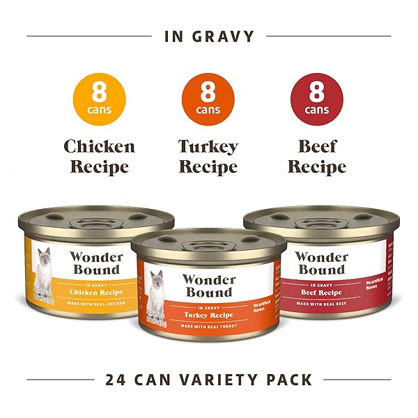 AMAZON BRAND – WONDER BOUND GOURMET WET CAT FOOD IN GRAVY VARIETY PACK (TURKEY, CHICKEN, BEEF), POULTRY, MADE IN USA, 3 OUNCE (PACK OF 24)
