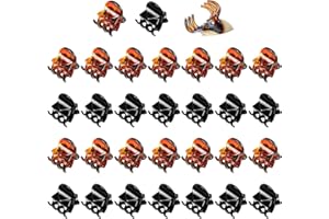 30PCS Mini Hair Clips Small Hair Claws Mini Claw Hair Clips for women with Storage box Non-slip Hair Catch for Women Girl's H
