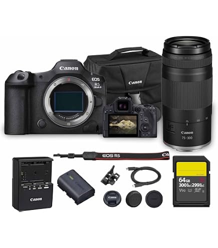 Amazon.com : Canon EOS C400 6K Full-Frame Professional Cinema