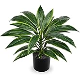 Oairse Artificial Plants Indoor with Pot, 18.1" Fake Potted Plants Medium Artificial Dracaena Plant in Black Pot Faux Tropical Plants for Bathroom Living Room Office Desk Shelf Decor