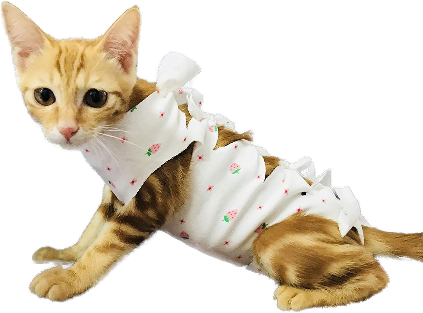 FIRIK Pet Recovery Suit Professional Cotton Sterilization Operation Clothing for Cats and Dogs - Strawberry - XS