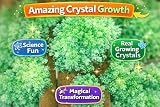 Playwrite Magic Growing Christmas Tree Crystal Kit for Kids 24 Hours view 4