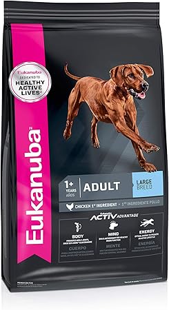 best dry dog foods for large breeds